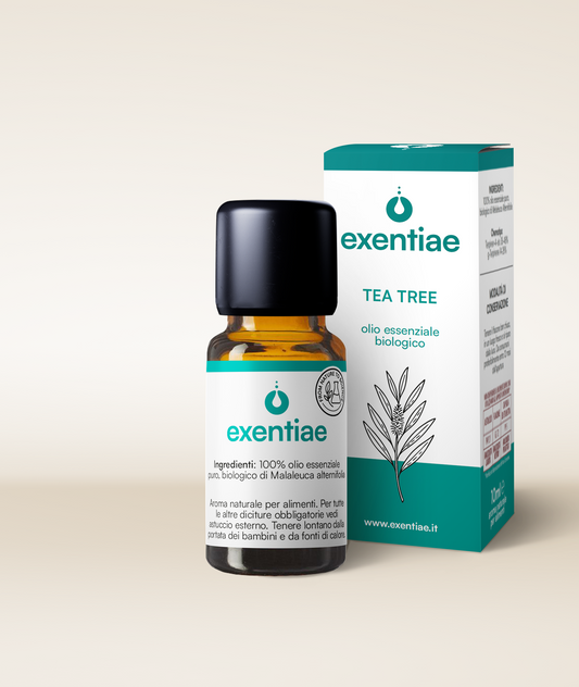 TEA TREE OLIO ESSENZIALE BIOLOGICO