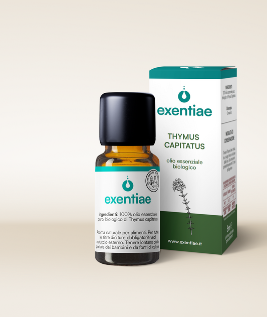 THYMUS CAPITATUS OLIO ESSENZIALE BIOLOGICO